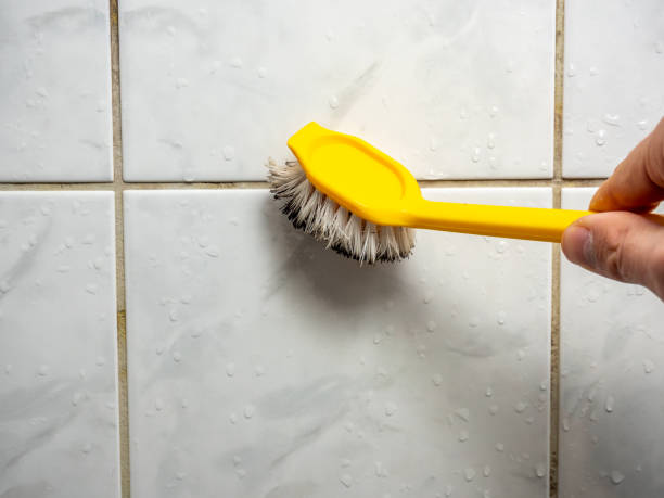 Best Affordable Mold Removal  in Colstrip, MT